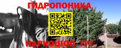 гидра Волгодонск