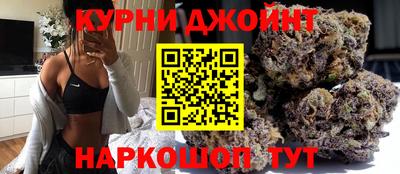 гидра Волгодонск