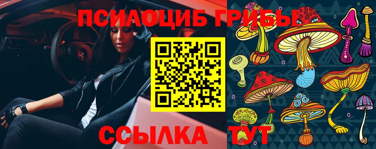 Псилоцибиновые грибы мицелий  Галлюциногенные грибы мухоморы  Мценск  Вход с VPN 